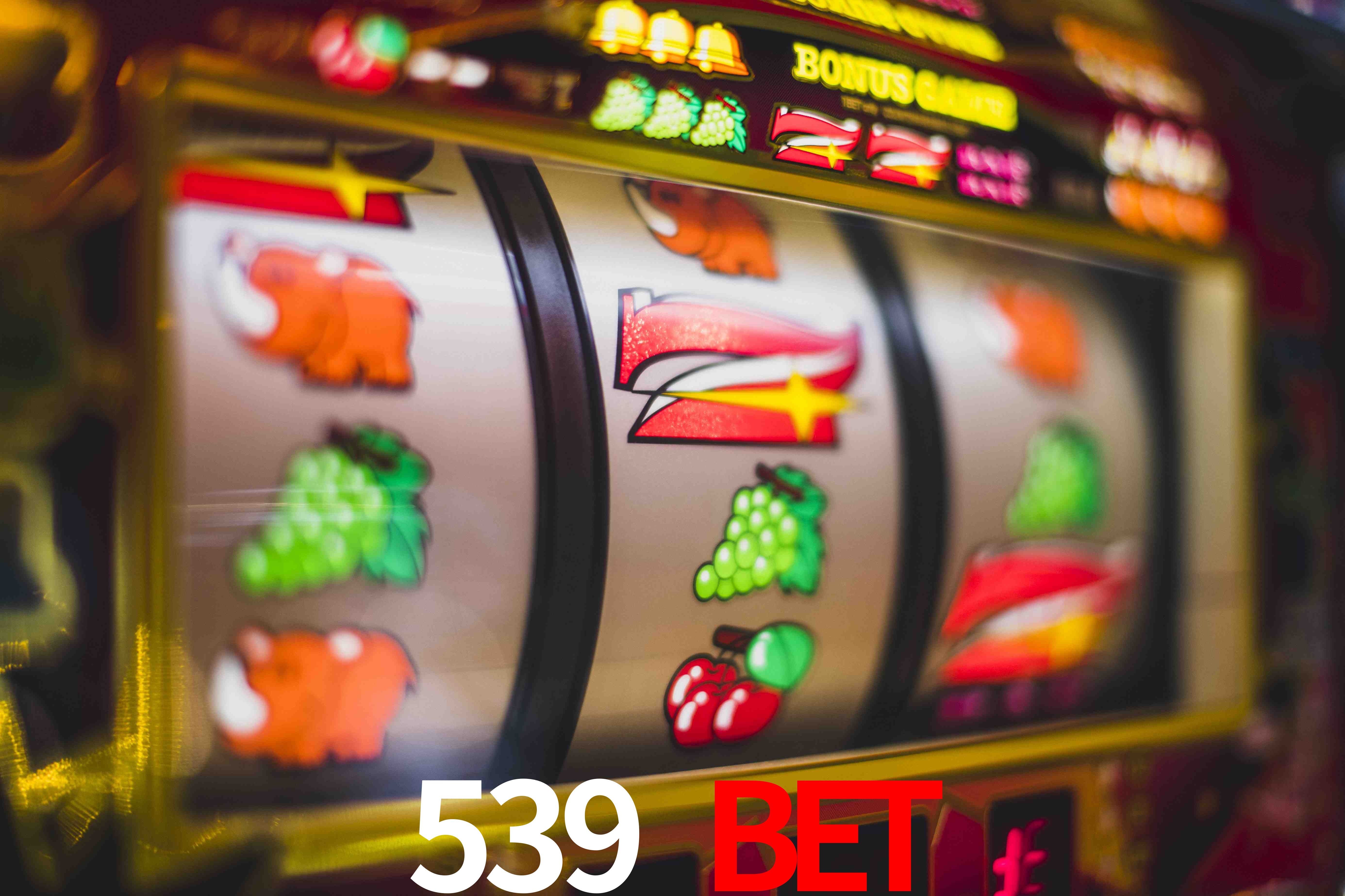 Sports Statistics 539 bet